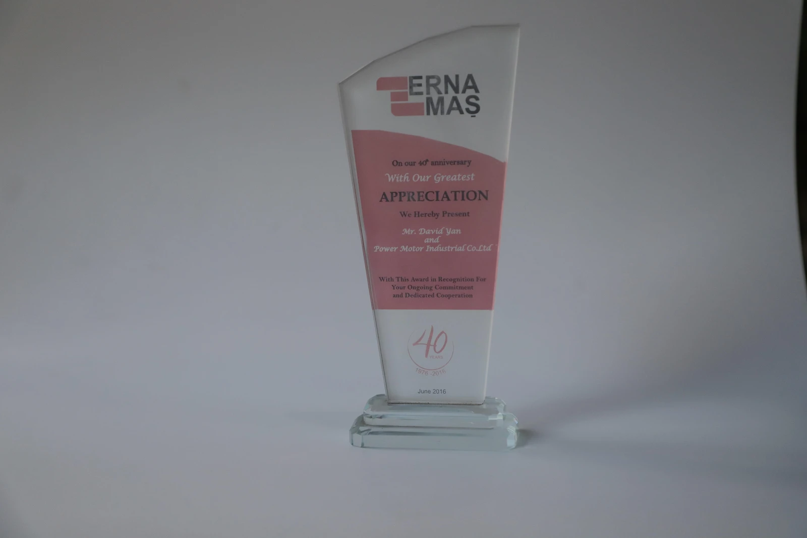 ERNA MAŞ · With Our Greatest Appreciation · 2016