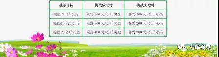 每半年的减肥对赌计划