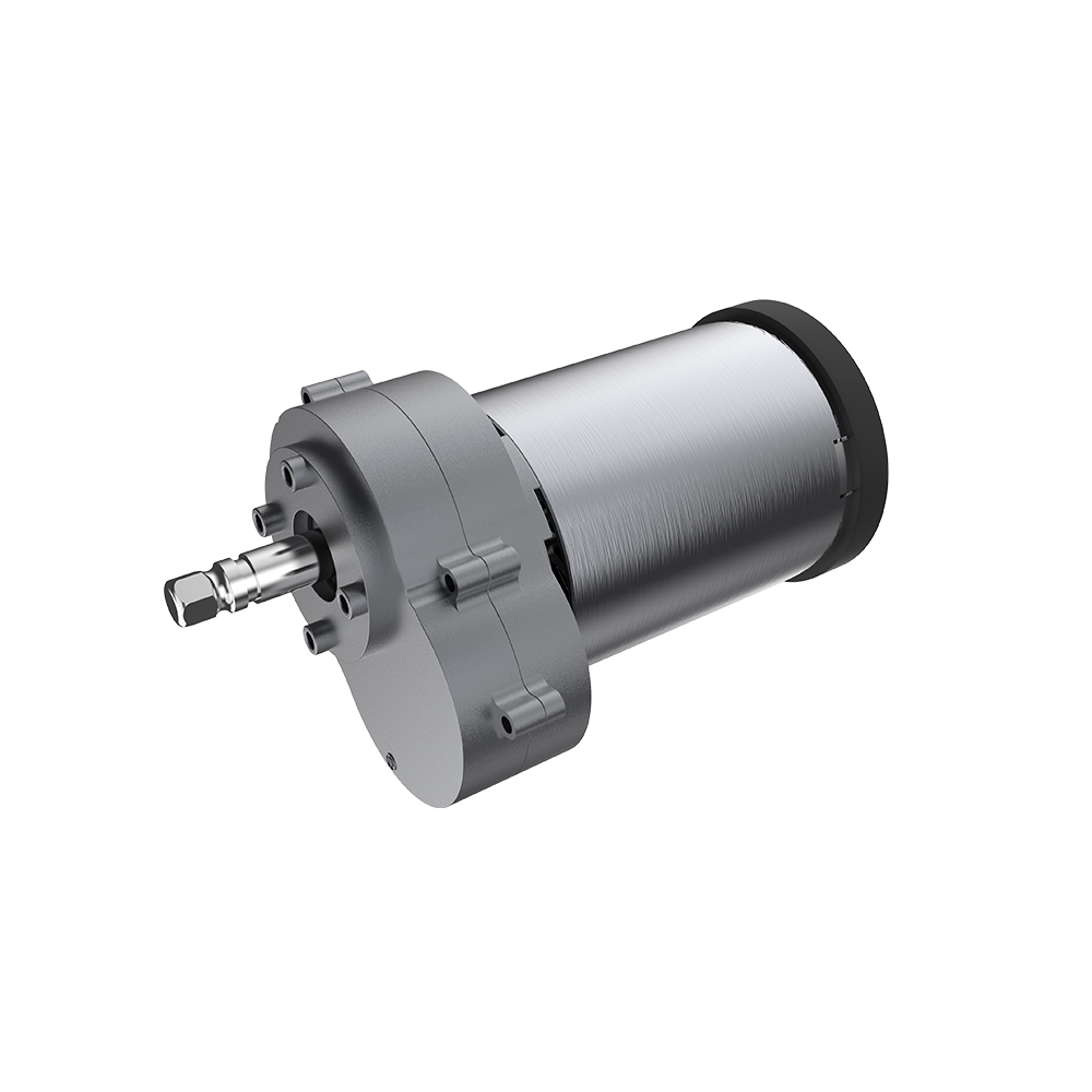 Slow Juicer Brushed DC Motor With Gearbox