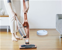 Vacuum Cleaner