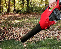Grass Blower
