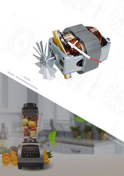 Blender AC Universal Motor