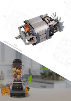 Blender AC Universal Motor