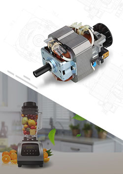 Blender AC Universal Motor