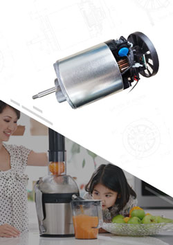 High Torque Slow Juicer DC Motor