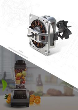 High Speed Blender Brushless DC Motor
