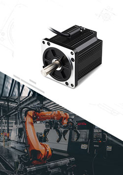 Packing Robot Brushless Motor
