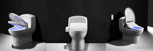 Multi-functional Smart Toilet