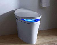 Smart Toilet
