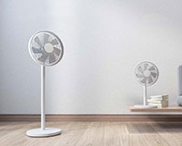 Fan