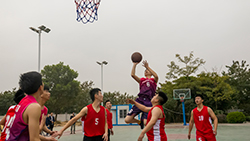 Close-ups of a basketball game3