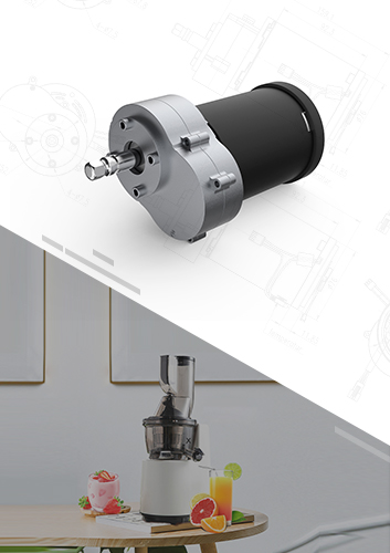 Slow Juicer Brushed DC Motor With Gearbox