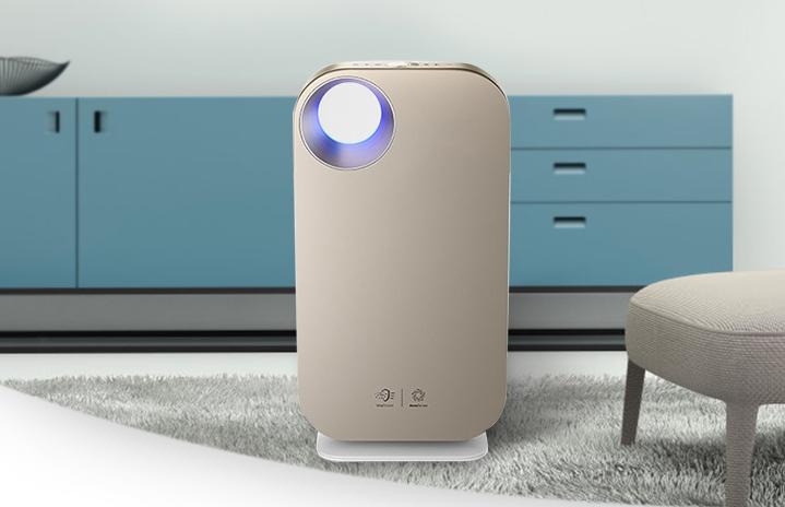 What Motors Can Be Used for the Best-Rated Air Purifiers?